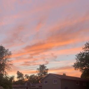 Meet your Posher, Molly